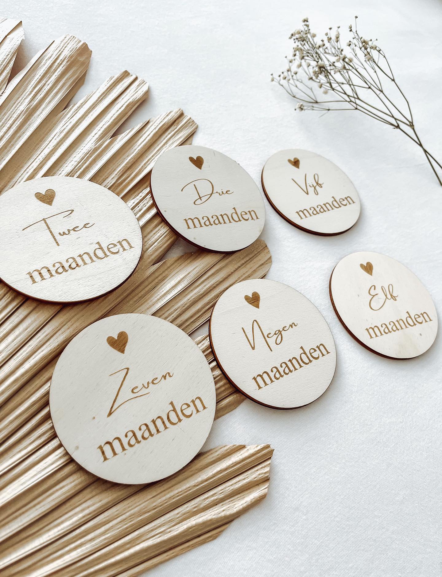 Mijlpaalcirkels baby - yourlittlefamily-nl -