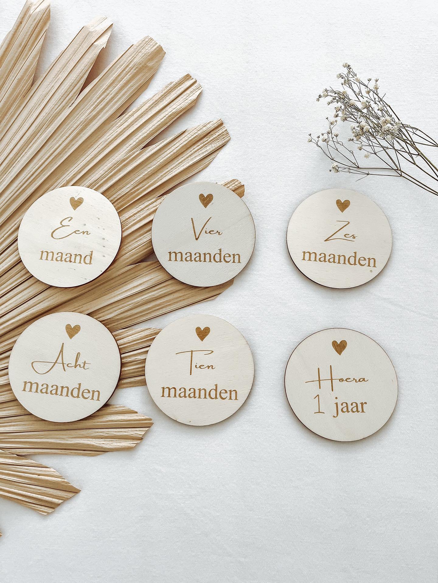 Mijlpaalcirkels baby - yourlittlefamily-nl -