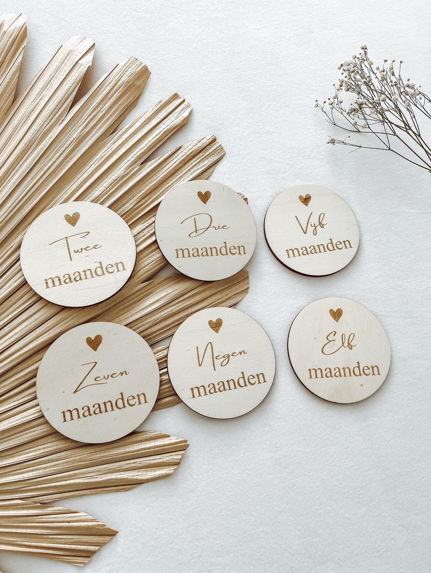Mijlpaalcirkels baby - yourlittlefamily-nl -