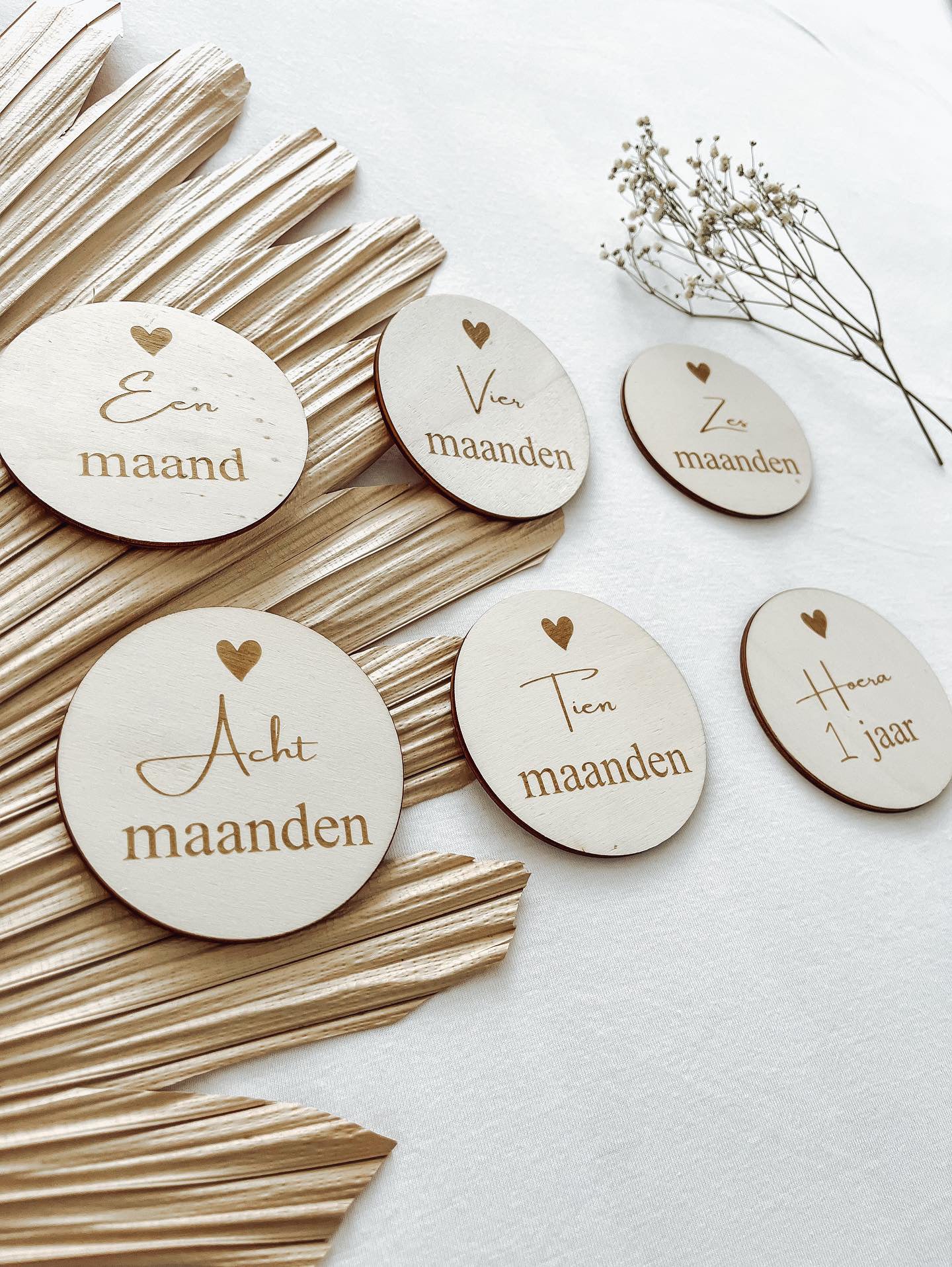Mijlpaalcirkels baby - yourlittlefamily-nl -