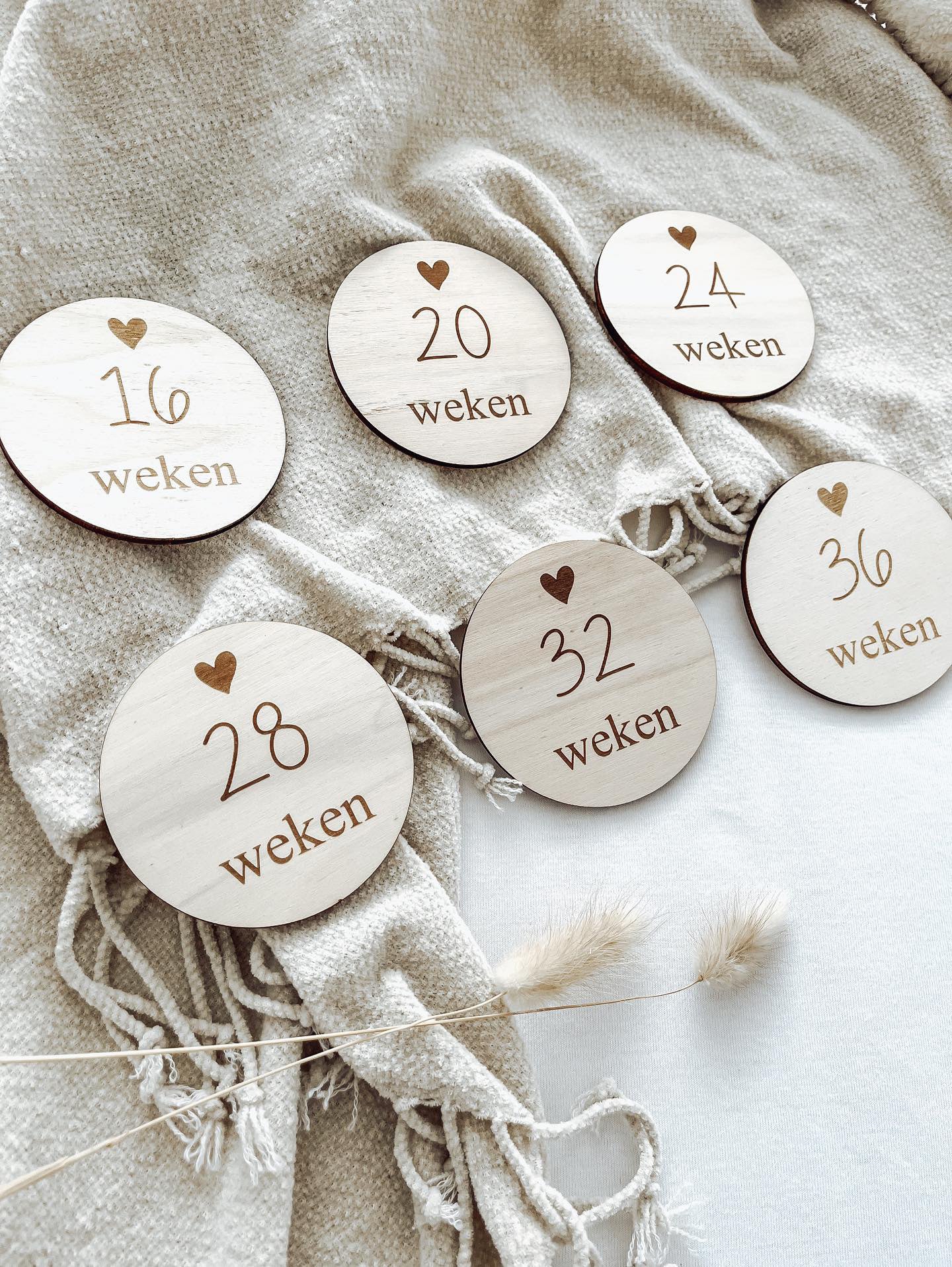 Mijlpaalcirkels zwanger - yourlittlefamily-nl -