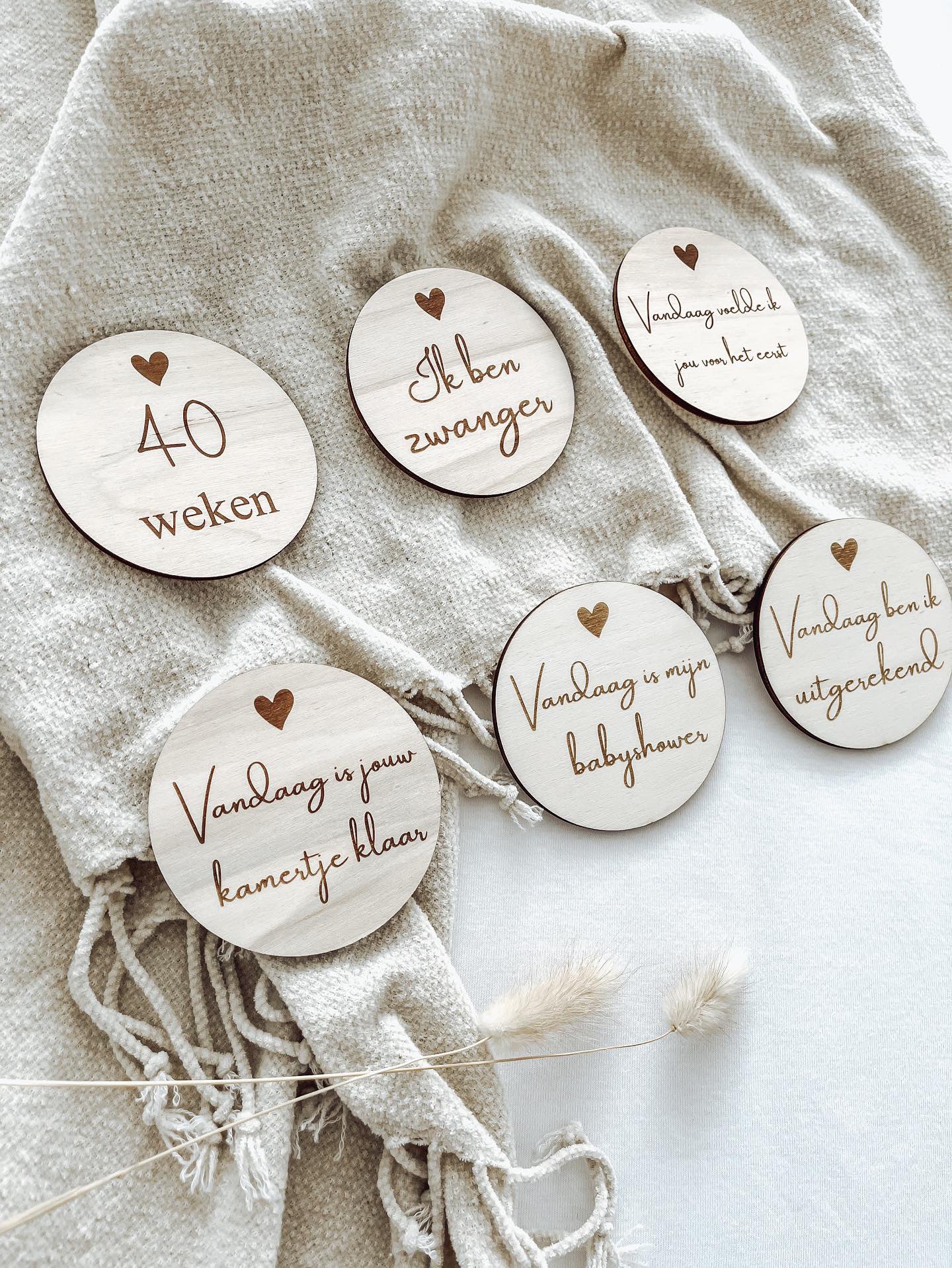Mijlpaalcirkels zwanger - yourlittlefamily-nl -