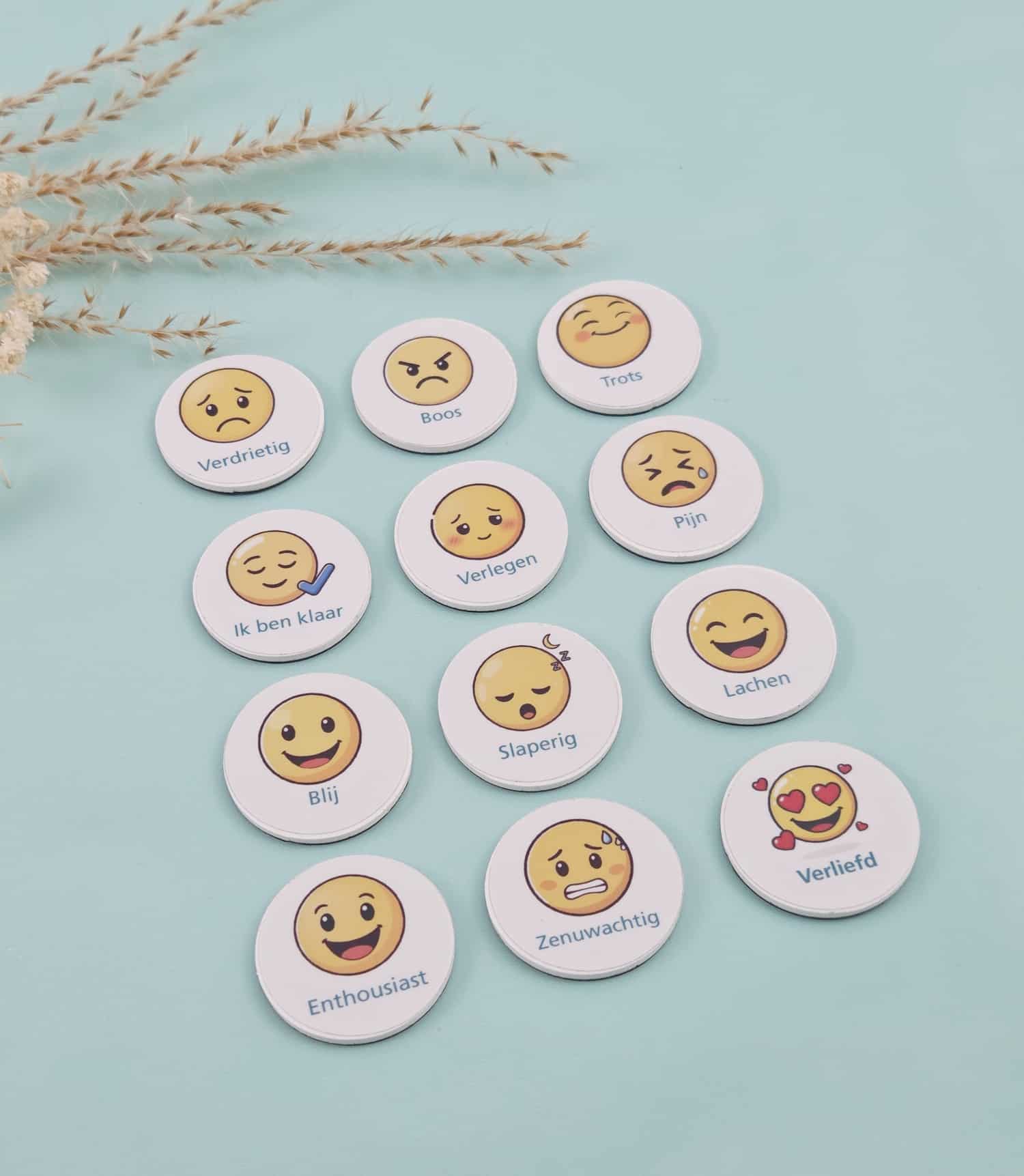 Magneet Emotie en gedrag pictogrammen