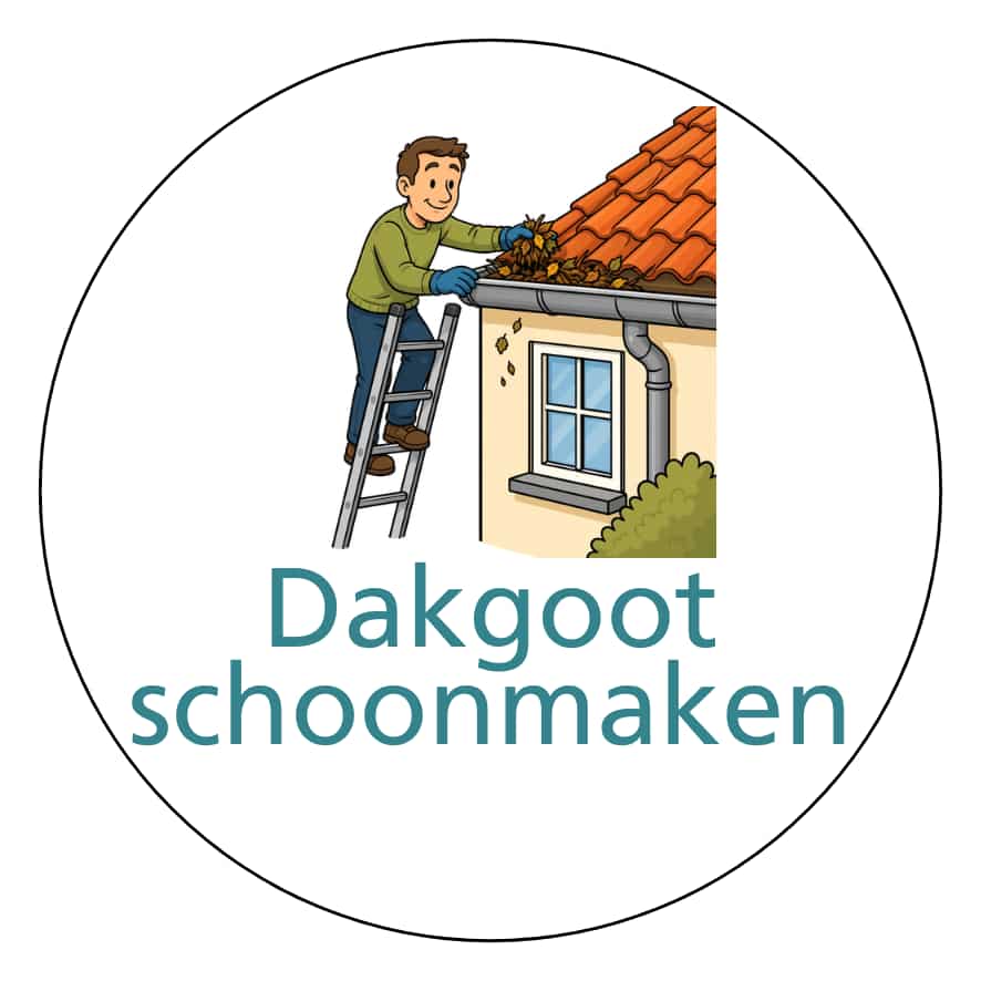 Magnetisch pictogram Dakgoot schoonmaken