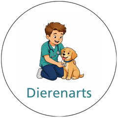 Pictogram uitvoering Versie B