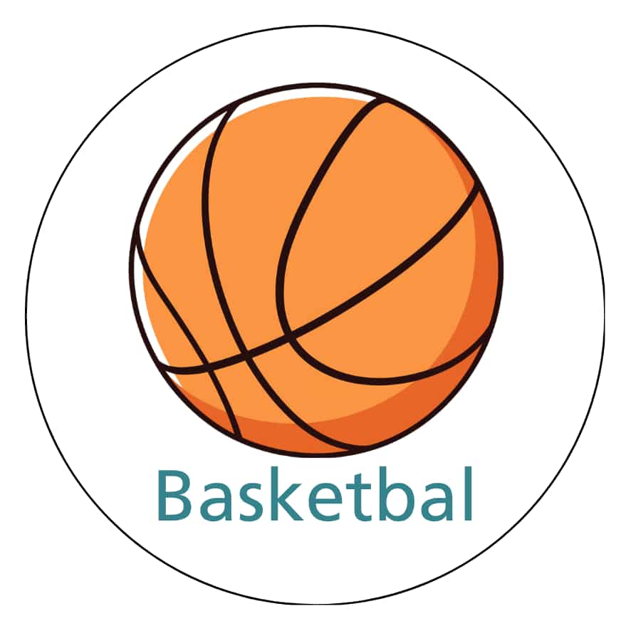Magnetisch pictogram Basketbal