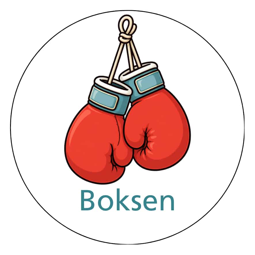 Magnetisch pictogram Boksen