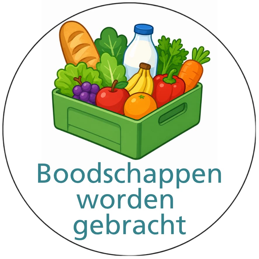 Magnetisch pictogram Boodschappen worden gebracht