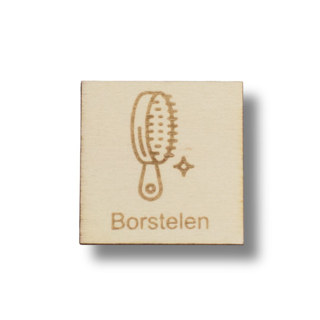 Pictogram Borstelen