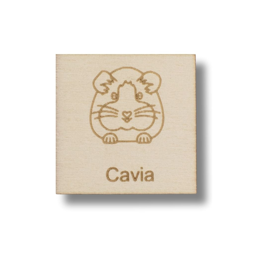 Pictogram Cavia