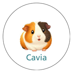 Pictogram uitvoering Versie A
