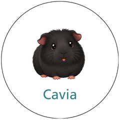 Pictogram uitvoering Versie B