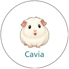 Pictogram uitvoering Versie C