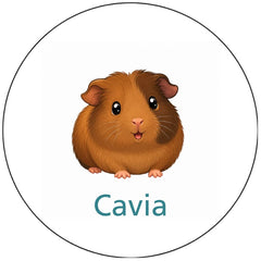 Pictogram uitvoering Versie D
