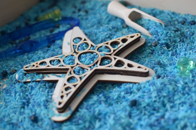 Houten vulvorm zeester