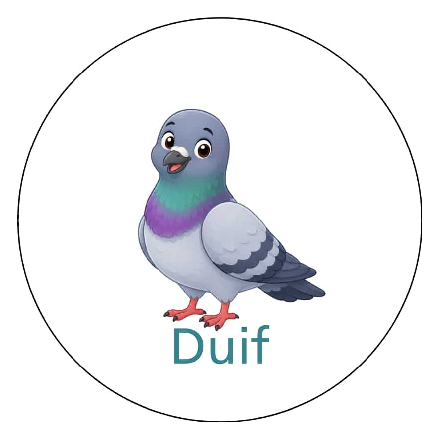 Magnetisch pictogram Duif