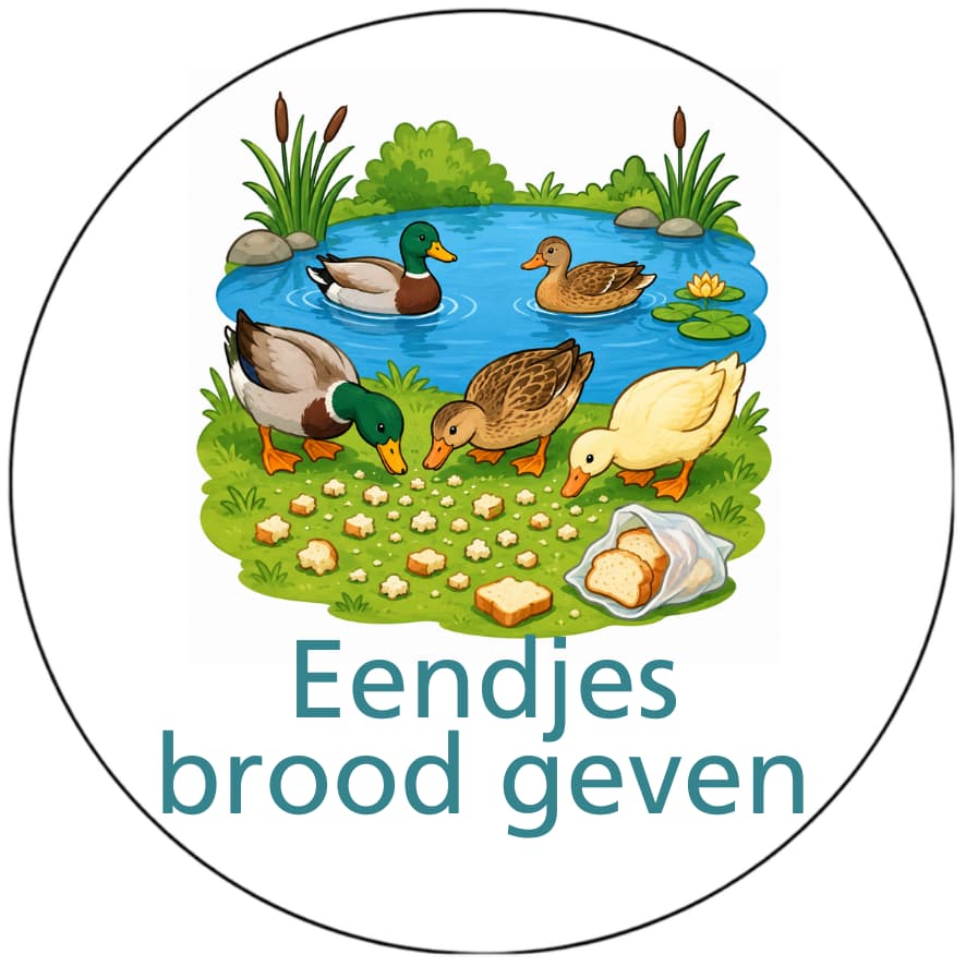 Magnetisch Pictogram Eendjes brood geven