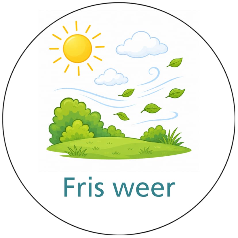 Magnetisch pictogram Fris weer