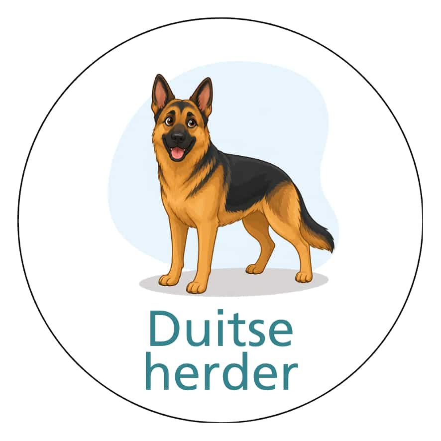 Magnetisch pictogram Hond