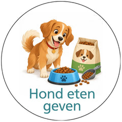 Pictogram uitvoering Versie A