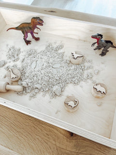 Stempelset dinosaurus