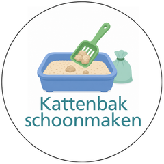 Pictogram uitvoering Versie A