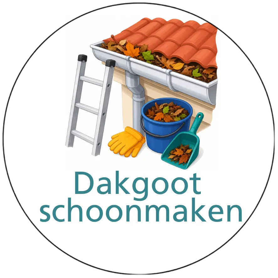 Magnetisch pictogram Dakgoot schoonmaken