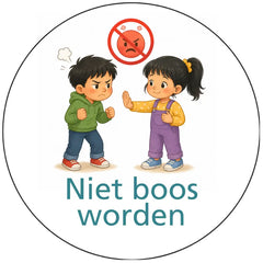 Pictogram uitvoering Versie E