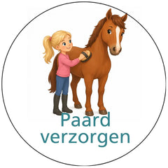 Pictogram uitvoering Versie B