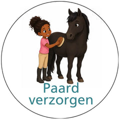Pictogram uitvoering Versie C