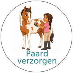 Pictogram uitvoering Versie E
