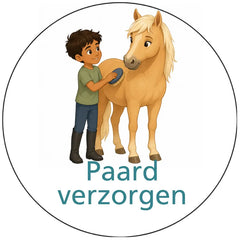 Pictogram uitvoering Versie F