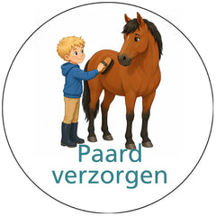 Pictogram uitvoering Versie G