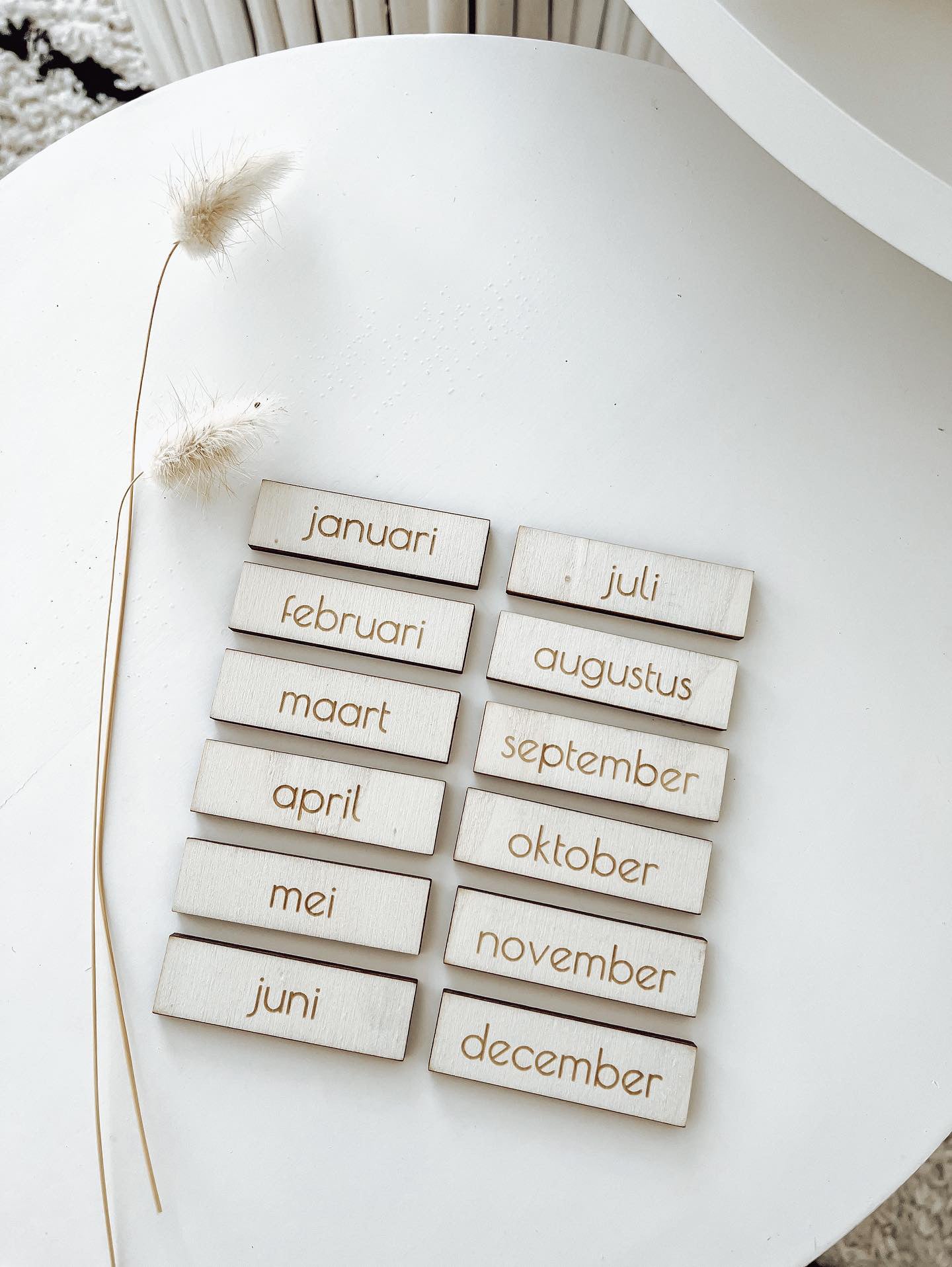 Maanden pictogrammen