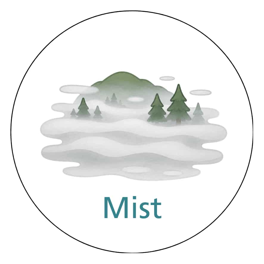 Magnetisch pictogram Mist