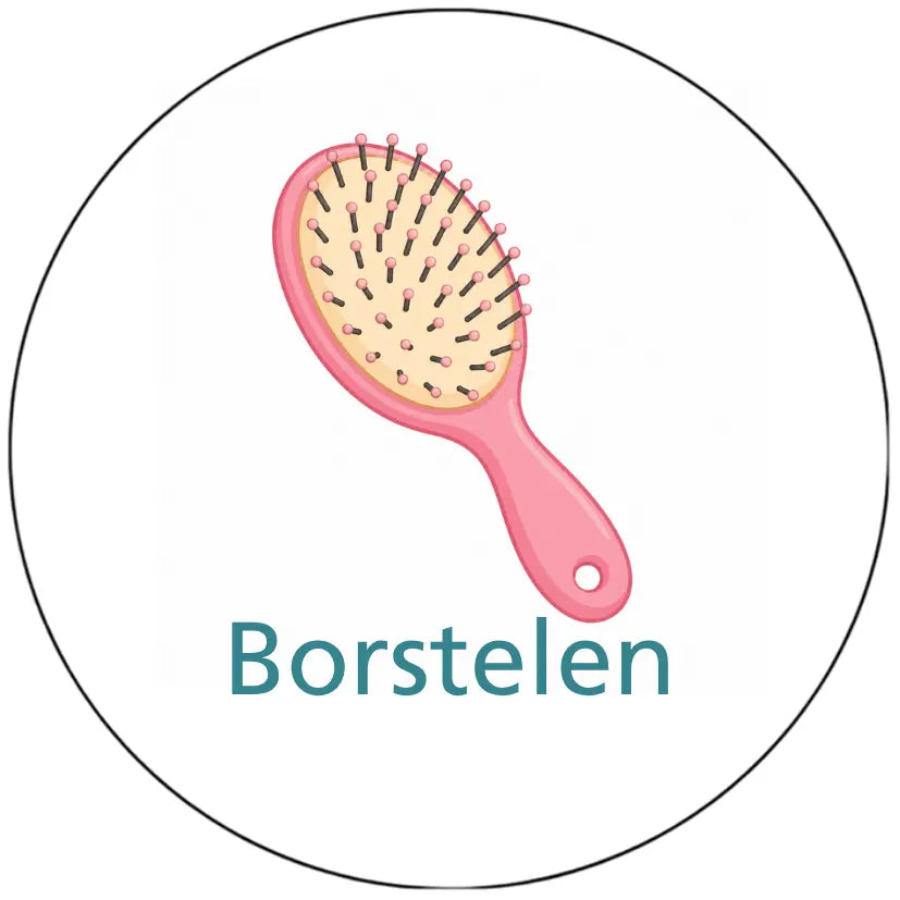 Magnetisch pictogram Borstelen