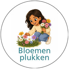 Pictogram uitvoering Versie B