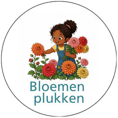 Pictogram uitvoering Versie C