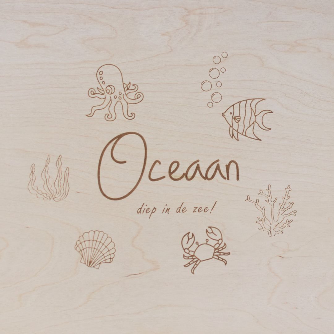 Houten speelbak met deksel (Froukje) Oceaan