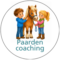 Pictogram uitvoering Versie G