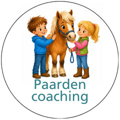 Pictogram uitvoering Versie G