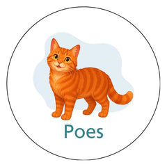 Poes H