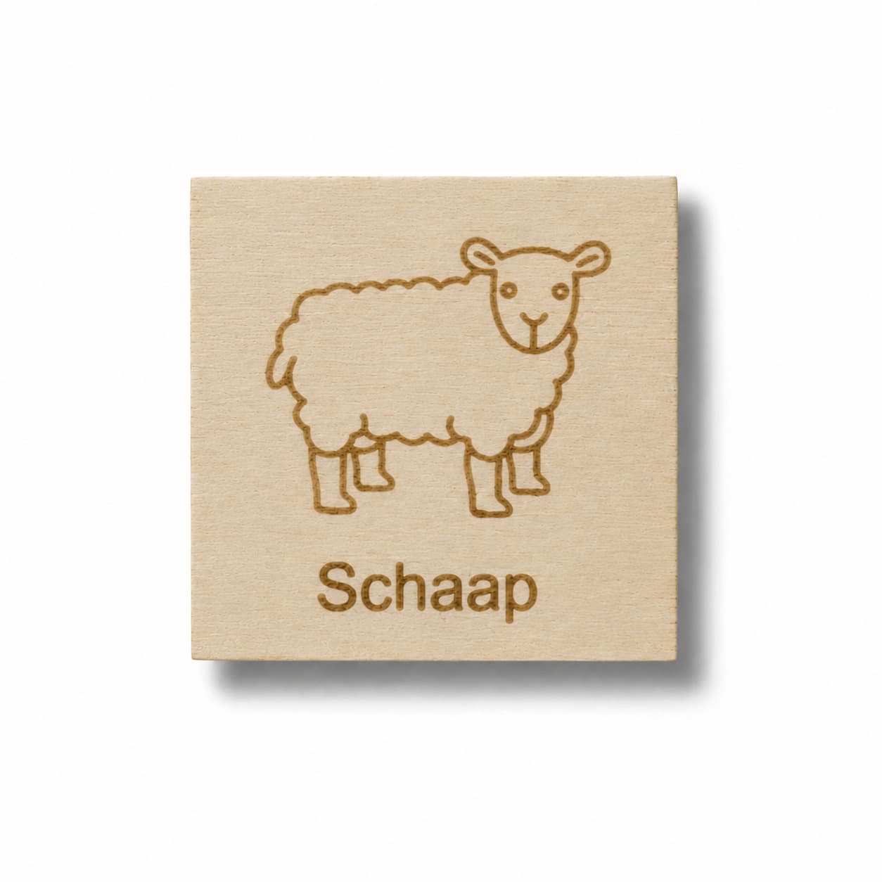 Pictogram Schaap