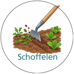 Pictogram uitvoering Versie C