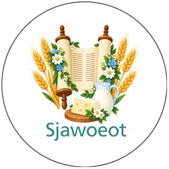 Pictogram uitvoering Versie I