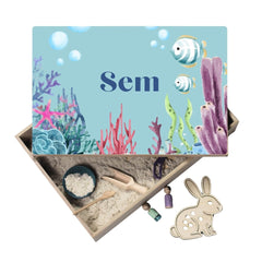 Oceaan Sem