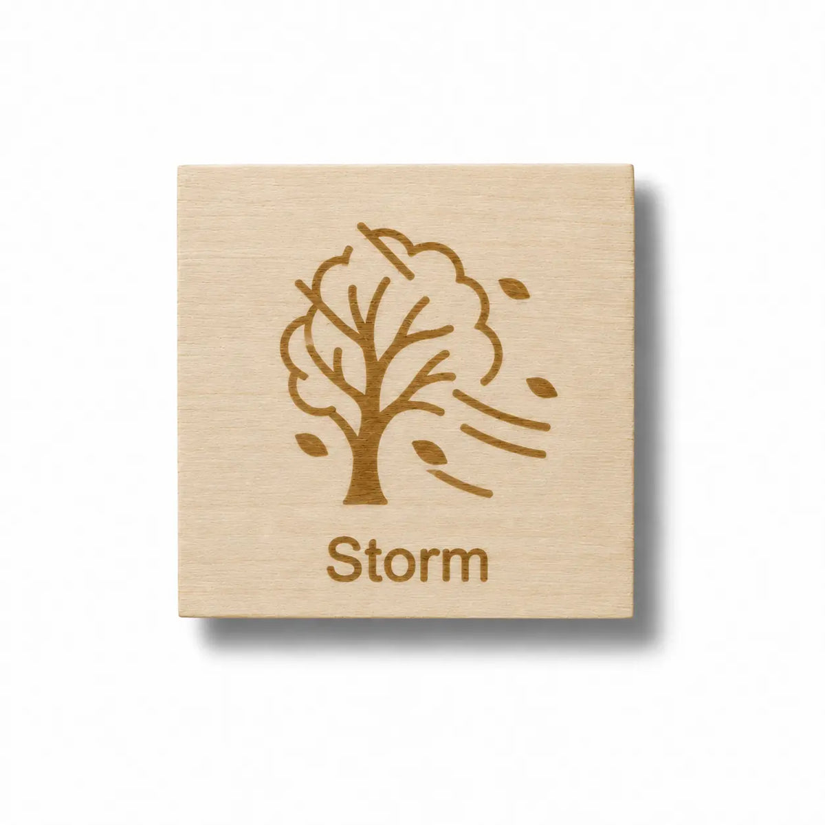 Pictogram Storm