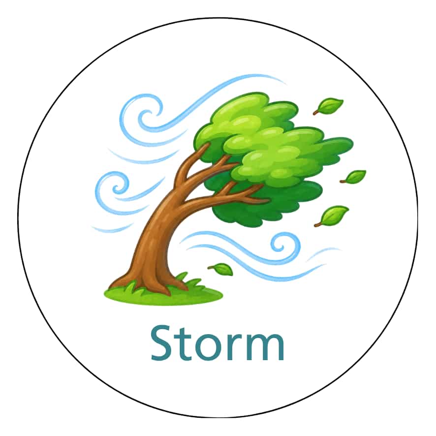 Magnetisch pictogram Storm