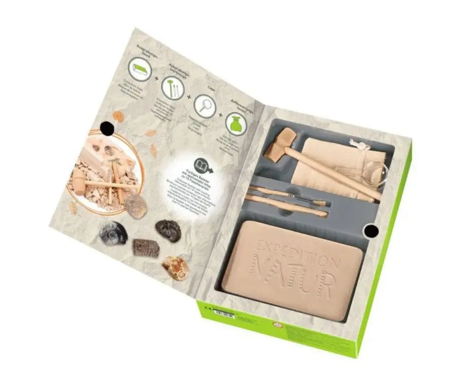 National Geographic Edelstenen En Fossielen Set – 200-delige Collectie Met Geodes, Rozenkwarts, Jaspis, Aventurijn, Haaientanden En Meer – Voor Kinderen