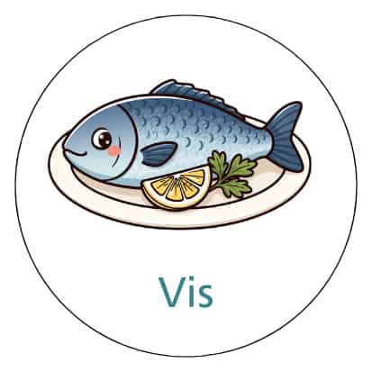 Magnetisch pictogram Vis
